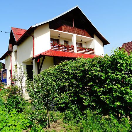 Pensiunea Casa Elena Corbeni Luaran gambar