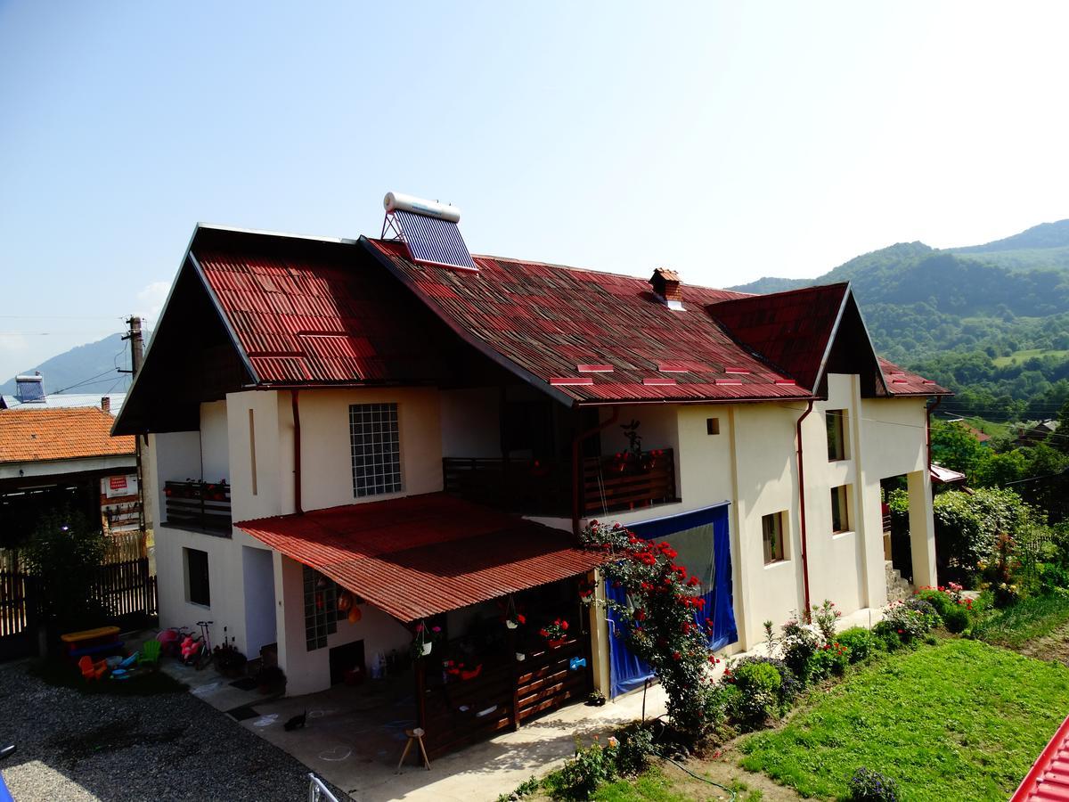 Pensiunea Casa Elena Corbeni Luaran gambar